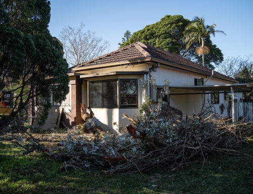 Gymea NSW
